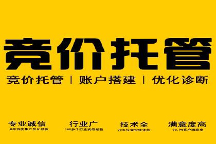 竞价推广实战：成功案例背后的技巧揭秘